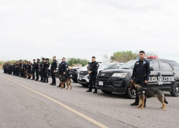 Registra Policía Estatal aseguramientos de sustancias prohibidas y armas en operativos por municipios