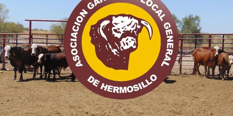 ASOCIACIÓN GANADERA LOCAL DE HERMOSILLO ANULA CONVOCATORIA Y DENUNCIA INTERESES POLÍTICOS MEZQUINOS