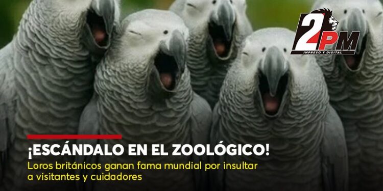 Escándalo en el Zoológico