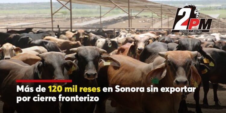120Mil Reses sin exportar por cierre Fronterizo