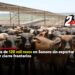120Mil Reses sin exportar por cierre Fronterizo