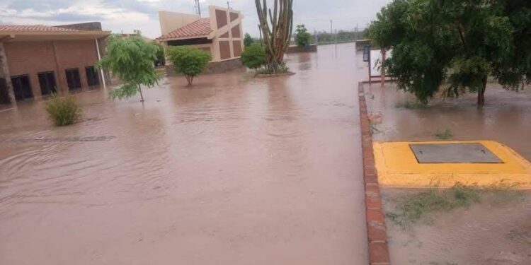 HICIERON LA UNIVERSIDAD EN UN HOYO HUNDIDO